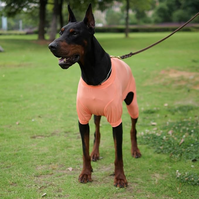 LoveLongLong Dog Jumpsuit with UV Protection and Quick-Dry Fabric for Spring Summer Pet Pajamas Lobster Pink L