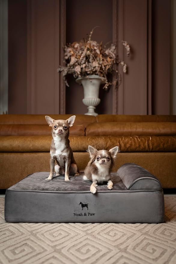 NOAH & PAW Dog Bed, 28x23x7.5 Inch, Orthopedic Dog Beds for Medium Size Pets, Eggshell Memory Foam Infused with Cooling Gel, Waterproof, Machine Washable, Includes Inner Cover (Velvet Collection)