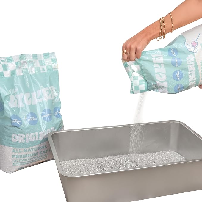 CLR2000A-SET2 Unscented Premium Clumping Bentonite Clay Cat Litter w/Activated Charcoal, Natural Odor Control, 99% Dust-Free, 18.7 LBS (Set of 2)