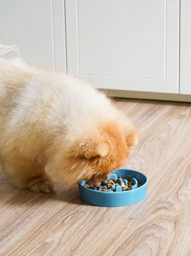 LE TAUCI Ceramic Slow Feeder Dog Bowls Small Breed, 0.6 Cups Dog Food Dish for Fast Eaters, Puzzle Bowl for Small Dogs and Cats,Vortex Blue