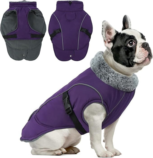DENTRUN Medium Dog Winter Jacket - Warm Reflective Windproof Coat, Adjustable Neck & Snap Closure, Water Repellent Thick Fleece Vest, Fleece Lined for Beagle Pug, Purple, M