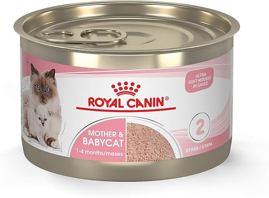 Royal Canin Feline Health Nutrition Mother & Babycat Queen Ultra Soft Mousse in Sauce Cat Food, 5.1 oz (Pack of 24)