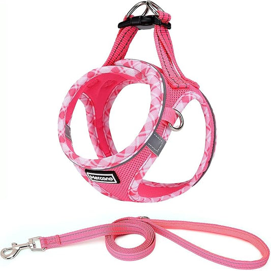 Mercano Soft Mesh Dog Harness and Leash Set, No-Chock Step-in Reflective Breathable Lightweight Easy Walk Vest Harnesses with Safety Buckle for Small Dogs, Cats (XXS, Fuchsia)