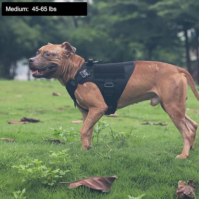ICEFANG Tactical Dog Harness, Medium Size,2X Metal Buckle,Working Dog MOLLE Vest with Handle,No Pulling Front Leash Clip,Hook and Loop Panel (Black,M (Pack of 1))
