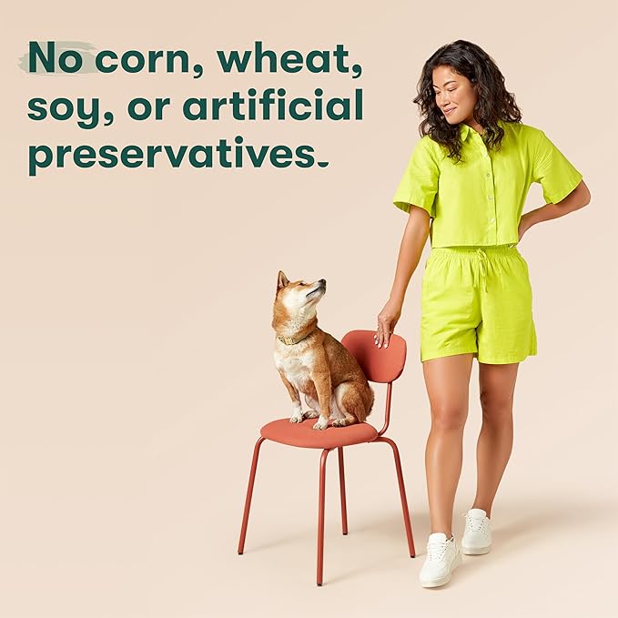 Jinx Beef Grain Free Wet Dog Food Pouches, Meal or Dog Food Topper Mix-in, Made with Real Beef & Chicken, Bone Broth & Brown Rice, No Fillers, Puppy, Adult, Senior, 3oz, 8 Pack