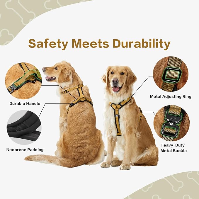 PawsPassion Dog Harness for X-Large Dogs, No Pull Dog Harness Easy Walk with Metal Hardware, Ergonomic Y-Shaped Design, Soft Padding, Padded Handle, Durable High-Tensile Nylon (Sunrise, XL)