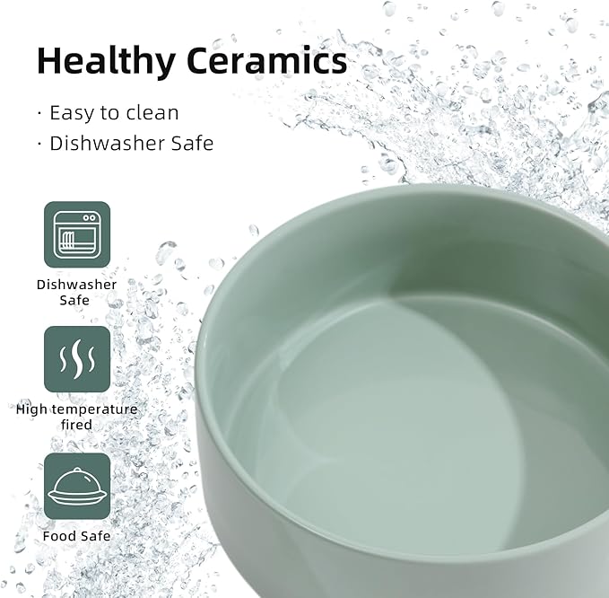 Ceramic 6.1inch Dog Bowls for Small and Medium Breed Dog Dish Pet Food and Water Bowl (Set of 2 Bowls - Light Green, 28oz)