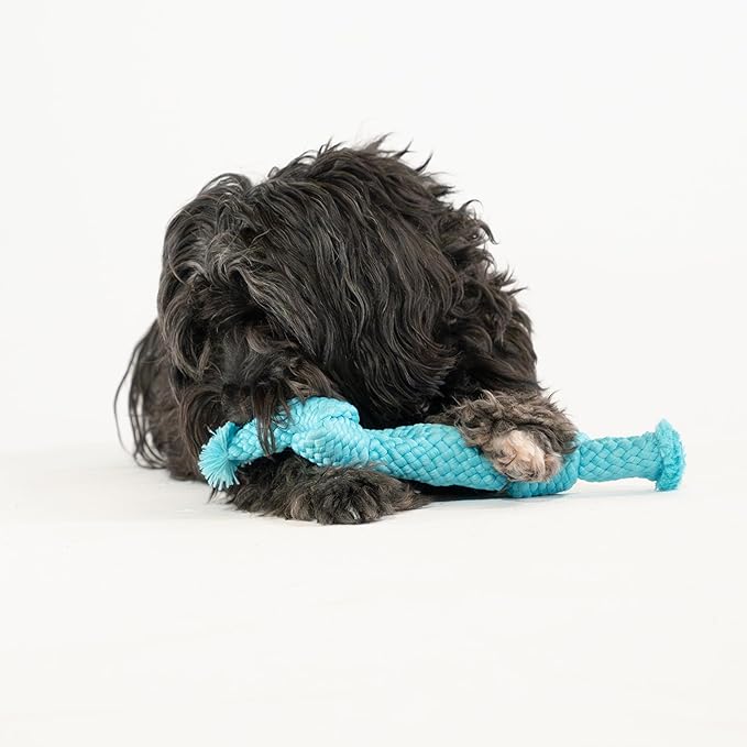 Playology Dog Toys | Dri-Tech Dental Rope Toy for Dogs - Gentle on Teeth | Medium Peanut Butter Scented Toy - Easy to Clean and Made from Non Toxic Materials