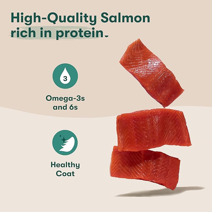 Jinx Salmon Tenders Jerky Dog Treats – Soft & Chewy, All Natural Dog Jerky Treats with High-Protein Salmon - Pet Products for All Dogs (Puppies, Adults & Seniors) - 5oz, Pack of 6