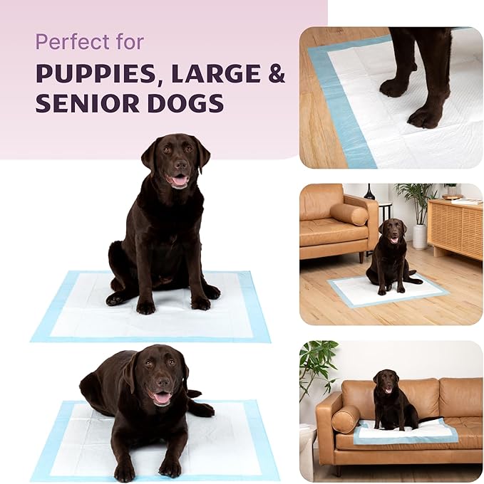 Incontinence Bed Pads 32x36, 50 Count Disposable Underpads, Ultra Absorbent Waterproof Chux, Extra Large Disposable Bed Pads for Adults, Kids & Pets