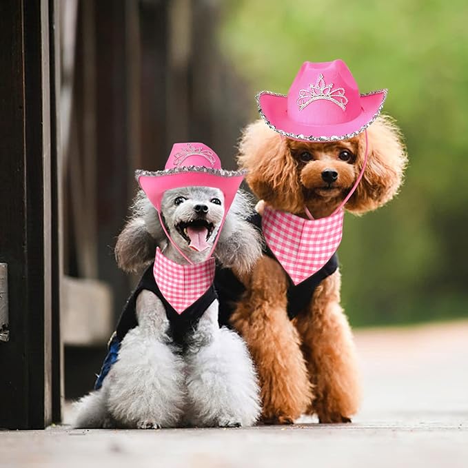 Yewong Pet Pink Cowboy Hat Costume Accessory Set Dog Cat Size Pink Cowgirl Princess Hat with Crown Tiara Bandana/Scarf for Cat Puppy Western Costume Daily Wearing Photo Props (Set B)
