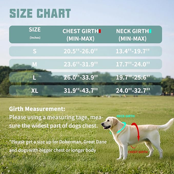 AUROTH Dog Harness and Leash Set, Soft Padded Service Dog Vest with 5.25FT Dog Leash, No Choke, Easy On Pet Vest, Adjustable Reflective No Pull Dog Harness for Large Dogs, Easy Walking and Training