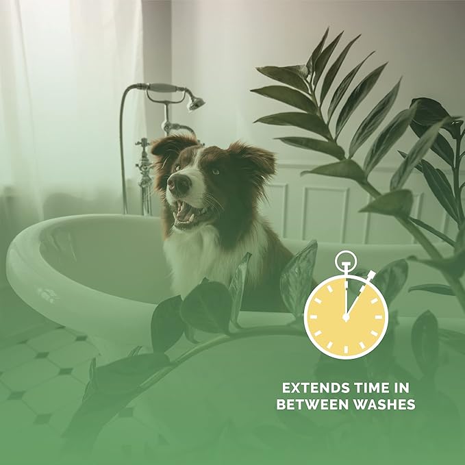 Bark2Basics Salon Scents Pet Grooming Cologne - 8 oz, Natural Professional Groomer Perfume for Dogs and Cat, Long Lasting, Deodorizing, (Citrus and Pomegranate)