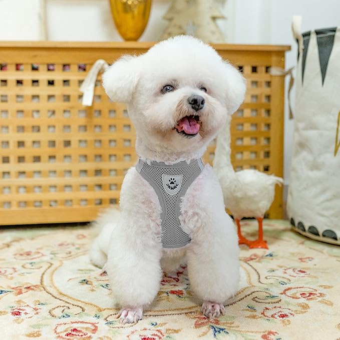 PUPTECK Adjustable Dog Harness Collar and Leash Set Step in No Pull Pet Harness for Small Medium Dogs Puppy and Cats Outdoor Walking Running, Soft Mesh Padded Reflective Vest Harnesses, Solid Grey XS