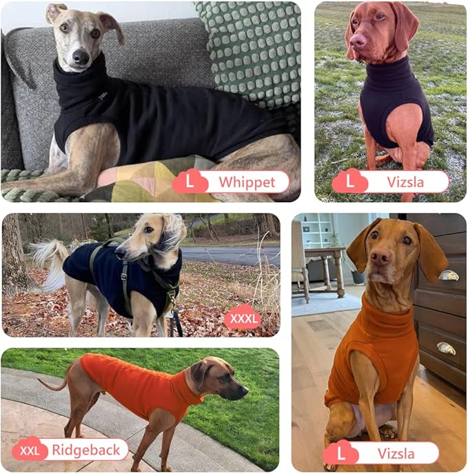 Sweatshirt for Vizsla/Weimaraner/Poodle/Dalmatian/German Dog, Reflective Sleeveless Warm Cotton Clothes for Big Dogs (Black, XXX-Large(Chest 31''. back26''))