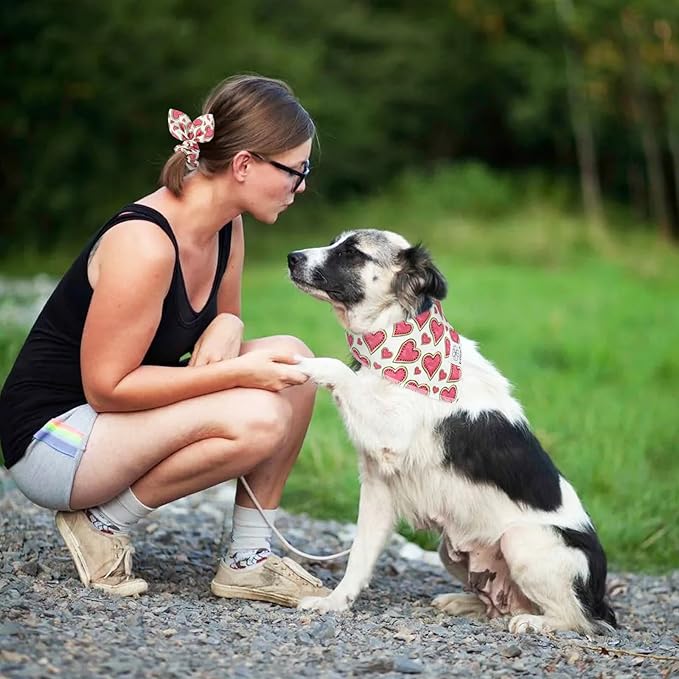 E-Clover Pink Watermelon Dog Bandanas & Matching Scrunchie Set Cute Heart Dog Scarf Bibs Pet Bandana with Bow Tie for Medium Large Dogs Owner Mom Spring Summer