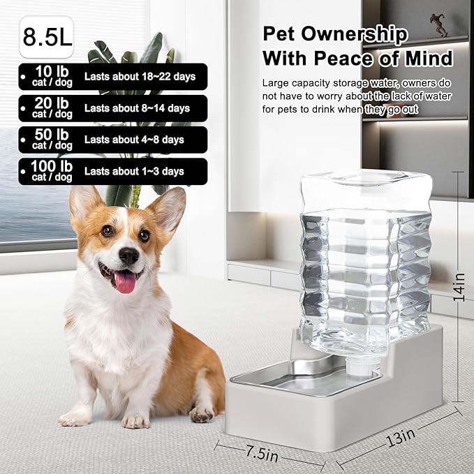 RIZZARI Stainless Steel Pet Water Feeder: 8.5L Beige Automatic Leak-Proof Gravity Dispenser for 30-60 LB Dogs with Spine Problems - Without Filter - for Living Room Kitchen