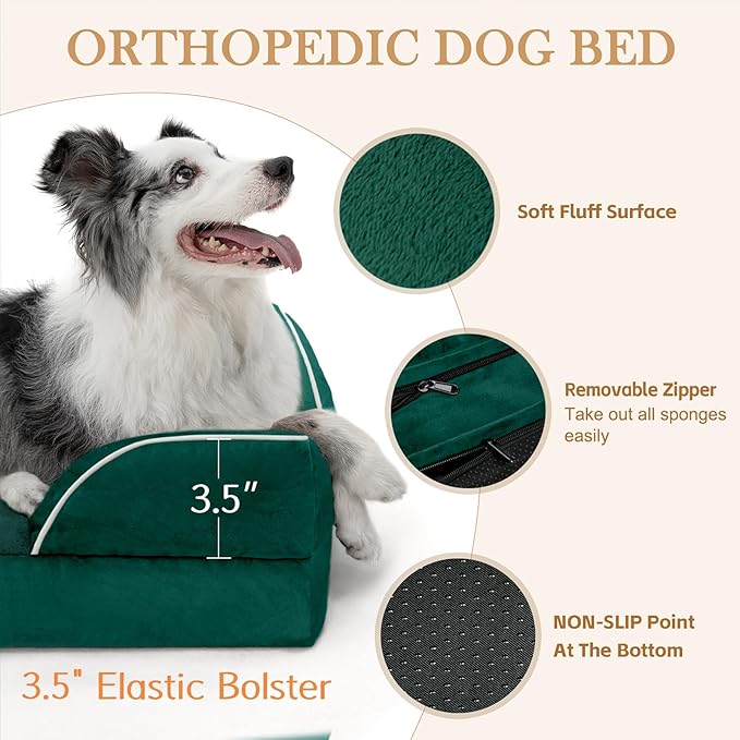 Comfort Expression Orthopedic Dog Bed for Small Dogs 20x14 Inch, Waterproof Supportive Egg Crate Foam Small Pet Bed with Removable Bolsters, Dog Couch with Washable Cover & Non-Slip Bottom, Emerald