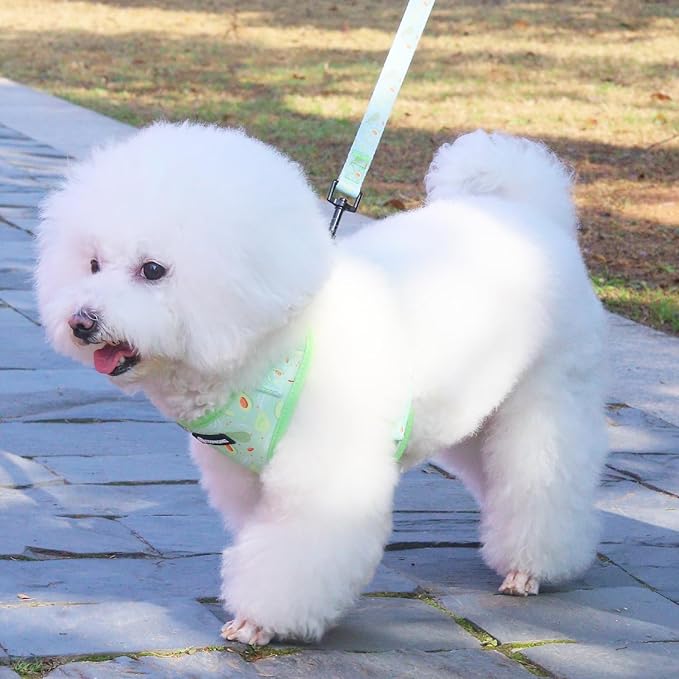 Dog Harness and Leash Set, Adjustable Dog Harness, Dog Leash, No Pull No Choke Puppy Harnesses for Walking Training for Small Medium Pet