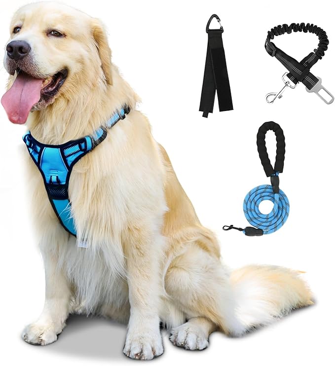 FURRYFECTION Dog Harness | No Pull Dog Harness | Reflective Oxford | Padded Handle | 4 Adjustable Straps | 2 Leash Clips | No Choke Pet Vest Harness for Small Medium Large Dogs | Blue | S