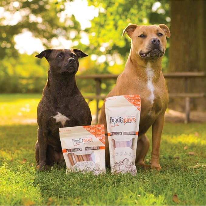FOODIEPAWS 6 Inch Bully Sticks for Dogs, 10 Pack | All Natural, Grass-Fed Beef Pizzle | Single Ingredient, Rawhide-Free & Fully Digestible Dog Chews | Odor-Free, Long Lasting Treats for All Breeds