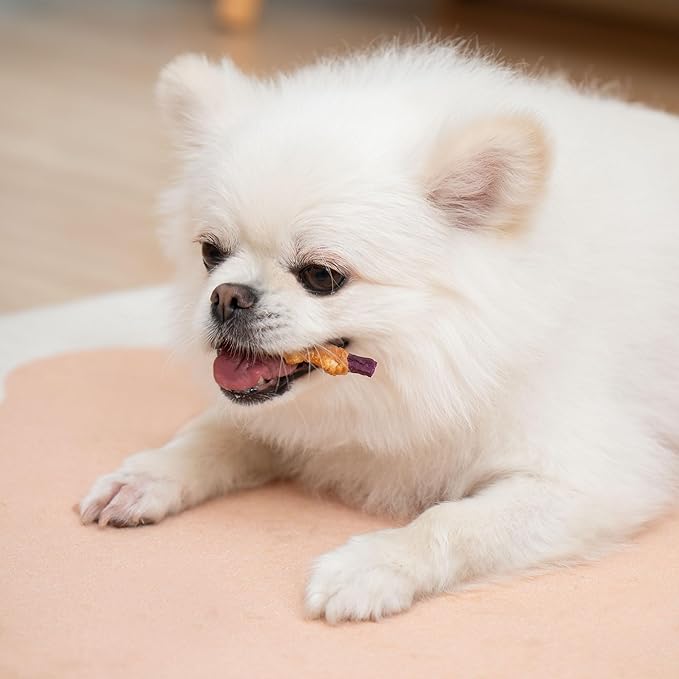 MON2SUN Rawhide Free Dog Treats, Chicken Wrapped Purple Sweet Potato Snacks, Healthy and Natural, Training Treats for Small Dogs, 10.6oz (30 Count - Pack of 1)