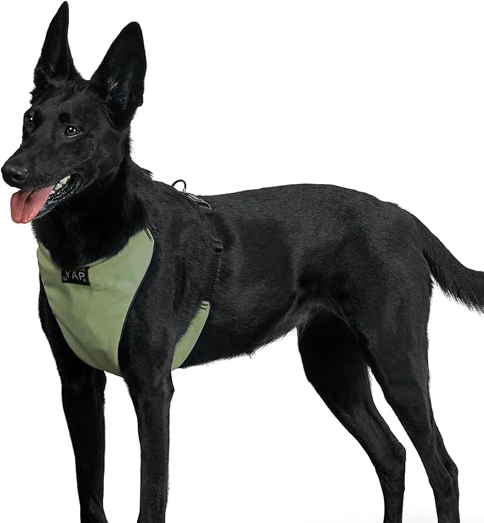 YAP Techno® Anti Pull Dog Harness, 4-Way Adjustable, Dog Vest Harness with Easy Control Handle, No Choke Dog Harness for All Breeds; 90-175 lbs (Regimental Green, Extra Large)