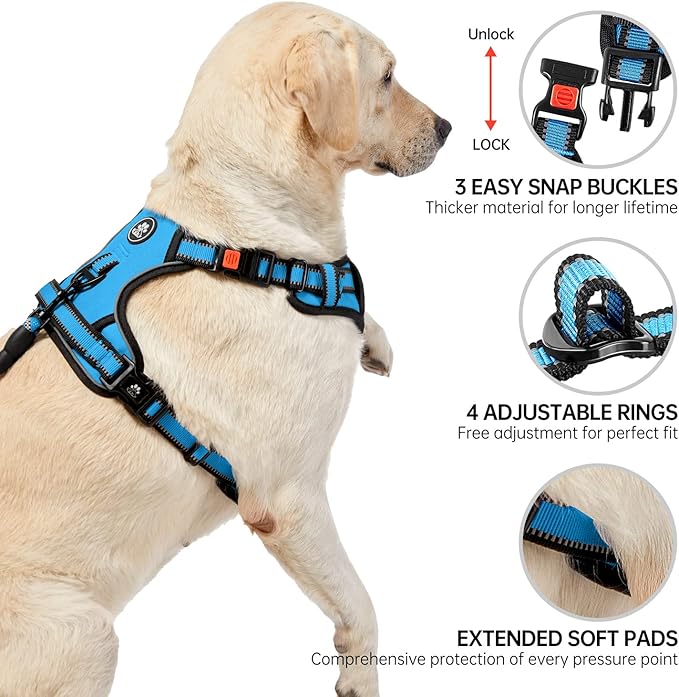 NESTROAD No Pull Dog Vest Harness with Leash, Adjustable Reflective Oxford Pet Harness with Easy Control Handle for Small Dogs, Blue