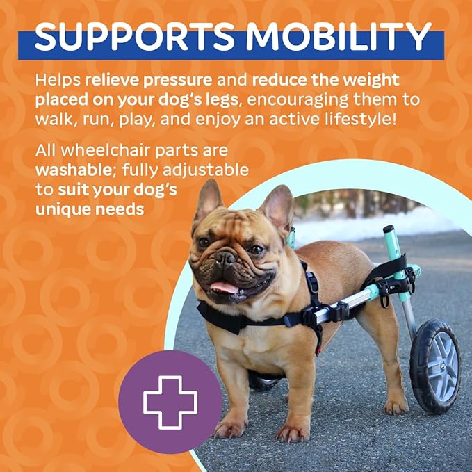 Walkin' Wheels Small Dog Wheelchair, Lightweight Dog Wheelchair for Back Legs, 15-25 lbs, for 12-15 inches Leg Height - Seafoam