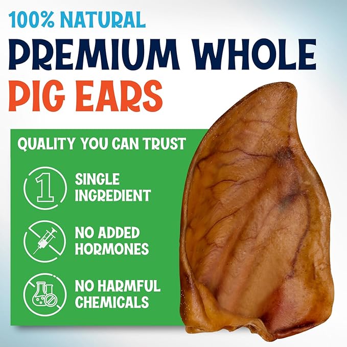 Whole Pig Ears for Dogs Large - 30 Pack Long Lasting Dog Chews – One Ingredient Delicious All Natural Flavor – Easy to Digest Dog Treats for Large Dogs - Great for Teeth and Gums