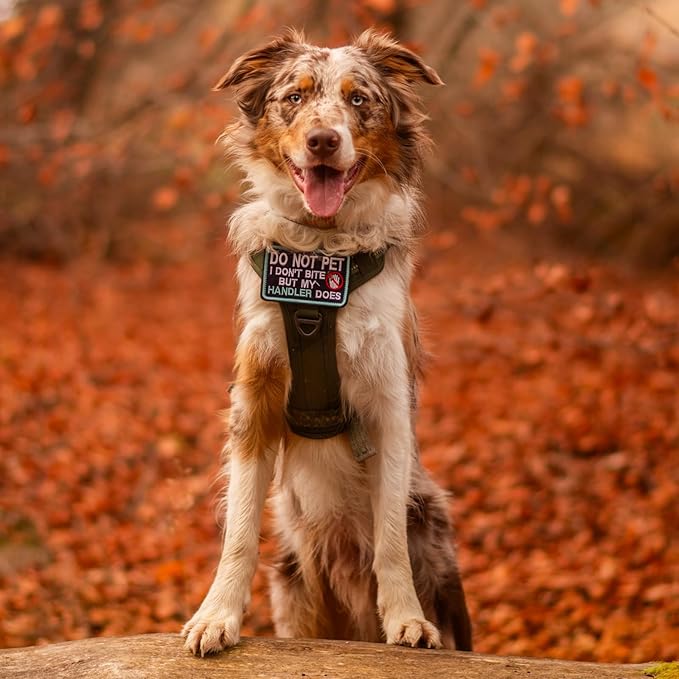 rabbitgoo Dog Harness Medium Sized No Pull, Tactical Service Pet Vest with Molle and Control Handle, Adjustable and Reflective Military Harness for Easy Walking and Training, Desert camo, M