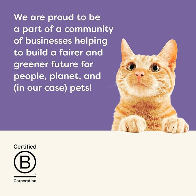 Applaws Natural Wet Cat Food in Gravy, Limited and Natural Ingredients, High Protein with No Artificial Additives, Fish Selection in Gravy (8X 2.12 oz Easy-Open Cups)