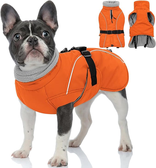 Queenmore Winter Dog Coat Warm Dog Jacket Vest Waterproof Puffer Fleece Snowsuit Adjustable Buckle Leash Hole Reflective Cold Weather Parka for Small Medium Large Dogs Girl Boy Orange S
