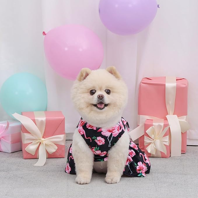 CuteBone Velvet Dog Dresses for Small Dogs, Stylish & Soft Fabric, Comfortable Fit for Everyday Wear, Perfect for Special Occasions NCVA11S