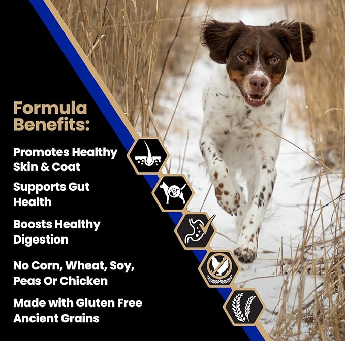 VICTOR Super Premium Dog Food — Sensitive Skin and Stomach — Beef Meal & Brown Rice Recipe Dry Kibble — Gluten Free, No Chicken, Ideal for Dogs with Allergies — Adult and Puppy Food, 15 lb