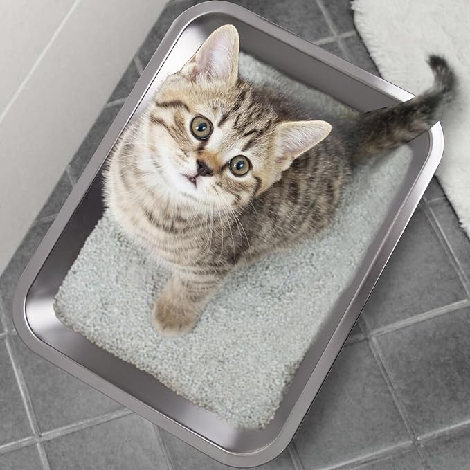 Stainless Steel Cat Litter Box Small,Cat Litter Box for Kitty/Rabbits Easy to Clean,Metal LitterBox for Kitty/Kitten or Bath Pan,Non Stick, No Smell,15.5" L x 11.7" W x 4" H