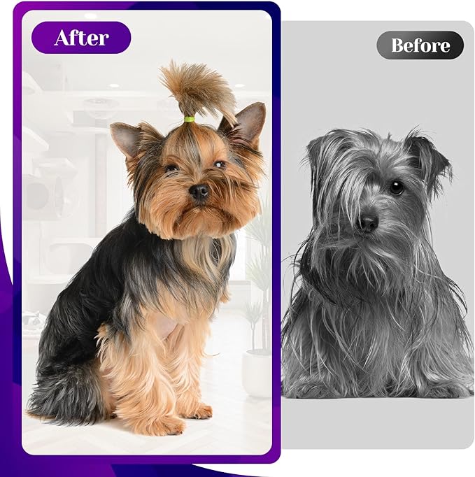 Professional Dog Grooming Scissors Set, Curved Dog Grooming, Thinning Scissors,Chunkers,440C Stainless Steel pet Grooming Scissors