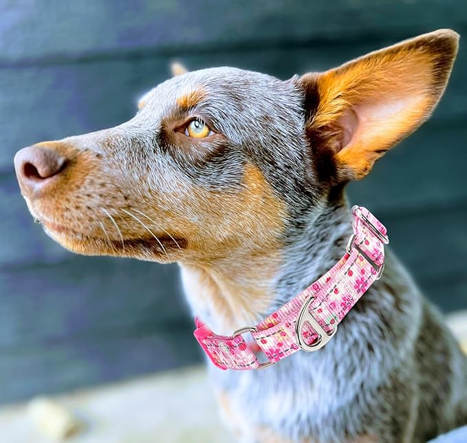 Pink Floral Martingale Collar for Dogs - Reflective Nylon with Quick Release Buckle & Padded Comfort - No Slip Choke Heavy Duty Collar for Training, Walking & Nighttime Use S