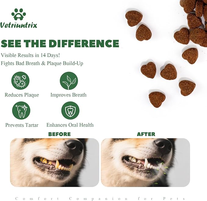 Dog Teeth Cleaning Chews, Dog Dental Chews for Plaque & Tartar Control with Natural Enzymes, Dental Care for Dogs with Probiotic, Fresh Breath for Small Medium Large Dogs