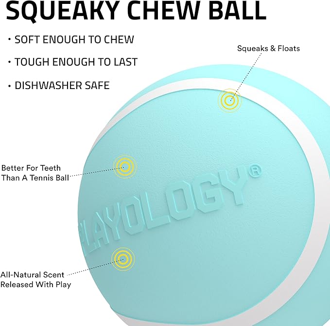 Playology Dog Toys | Squeaky Chew Ball - Bouncy Durable Floating Fetch Ball for Dogs | Medium Peanut Butter Scented Toy - Easy to Clean and Made from Non Toxic Materials