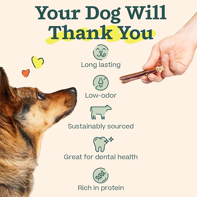 WOOF Bully Sticks Dog Treats - Chew Sticks for Dogs - Long-Lasting Dog Chew Treats - Made with Free-Range, Grass-Fed Beef- 12" Sticks - 25pk