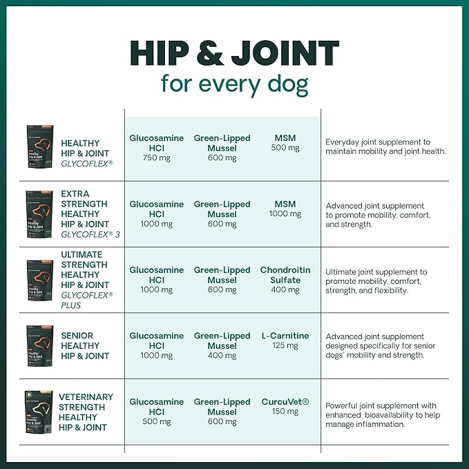 VetriScience Extra Strength Healthy Hip & Joint Chews, GlycoFlex Glucosamine and Green-Lipped Mussel Joint Support Supplement for Dogs, Promote Mobility & Soothe Joint Discomfort, Chicken, 60 Count