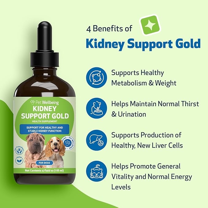 Pet Wellbeing Kidney Support Gold for Dogs - Supports Healthy Kidney Function, Fluid Balance, Energy Levels, Rehmannia, Dong Quai - Veterinarian-Formulated Herbal Supplement 4 oz (118 ml)