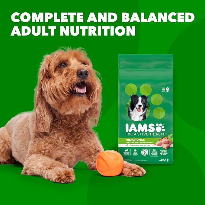 IAMS Proactive Health Minichunks Adult Dry Dog Food with Real Chicken, 7 lb. Bag