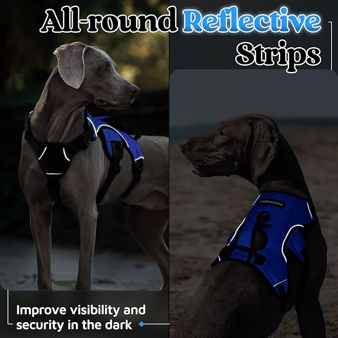 rabbitgoo Escape Proof Dog Harness, Soft Padded Full Body Pet Harness, Reflective Adjustable No Pull Vest with Lift Handle and Leash Clip for Large Dogs Walking Hiking Training, XL, Blue