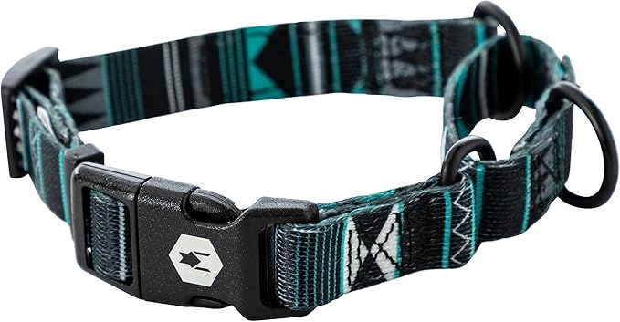 Wolfgang Heavy Duty Martingale Dog Collar with Quick Release Nylon Buckle for Walking & Training, WesternSky Print, X-Large