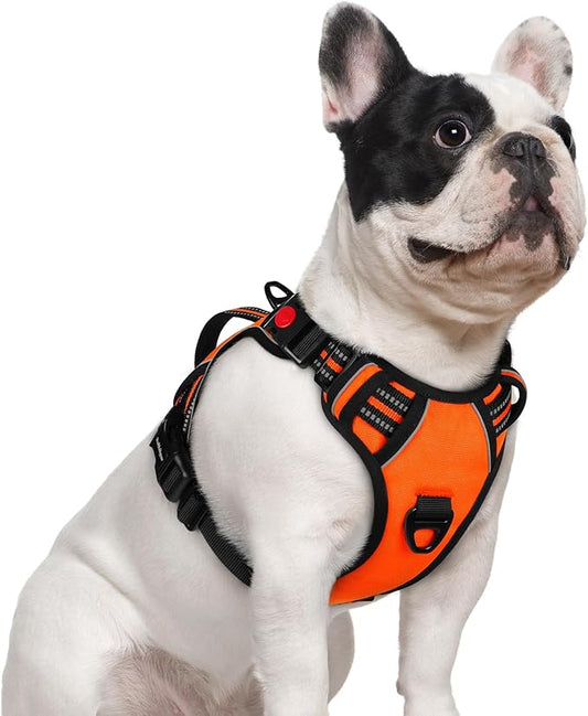 rabbitgoo Dog Harness Small Sized Dog, No Pull Pet Harness with Soft Padded Handle, Adjustable Reflective Vest with 3 Buckles, Easy Walking Harness with 2 Leash Clips, Orange, S