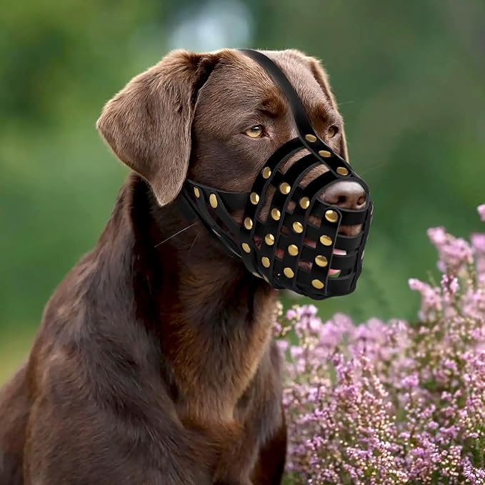OOPSDOGGY Labrador Dog Muzzle for Large Dogs - Leather Breathable Secure Basket Muzzle for Large Breeds Retriever Prevents Biting No Chewing Adjustable (Black, Size 6 - Labrador Retriever)