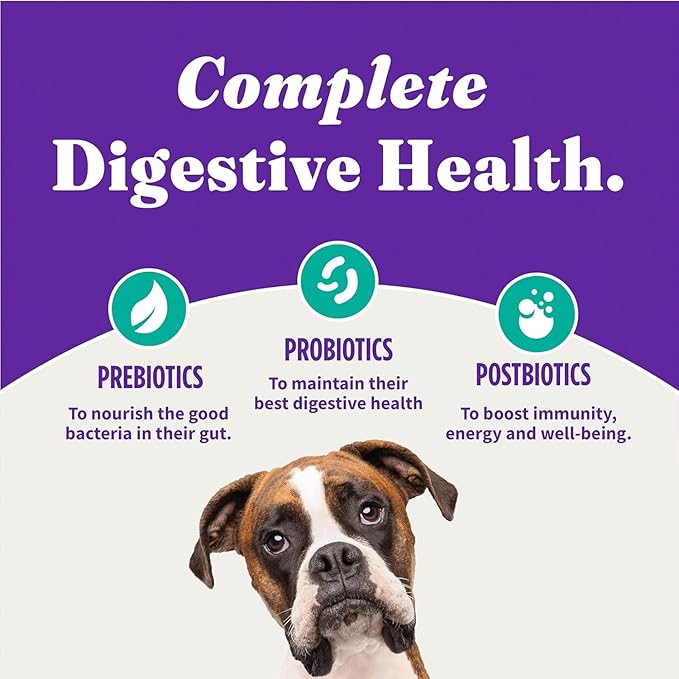 Halo Holistic Vegan Dog Food, Plant-Based Recipe with Kelp, Dry Dog Food, Complete Digestive Health, Kibble for Adult Dogs, 21 lb Bag
