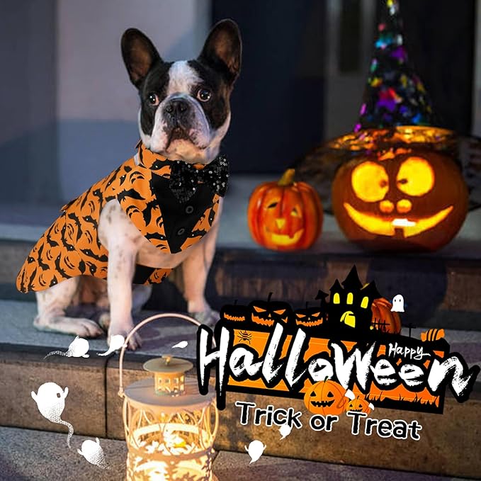 Kuoser Dog Tuxedo Suit and Bandana Set, Bat Pumpkin Print Dogs Halloween Outfit Adjustable Dog Halloween Costume with Bow Tie for Large Medium Small Dogs Golden Retriever Samo Bulldogs, Orange XL